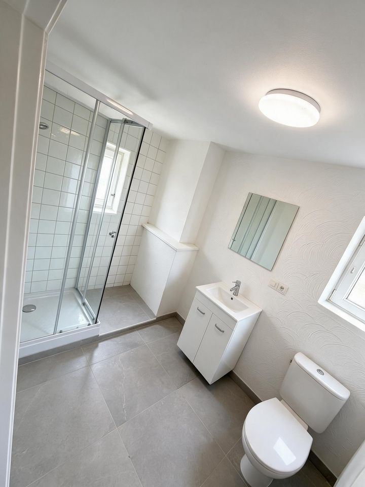 Renovated bathroom with glass shower, vanity unit and toilet
